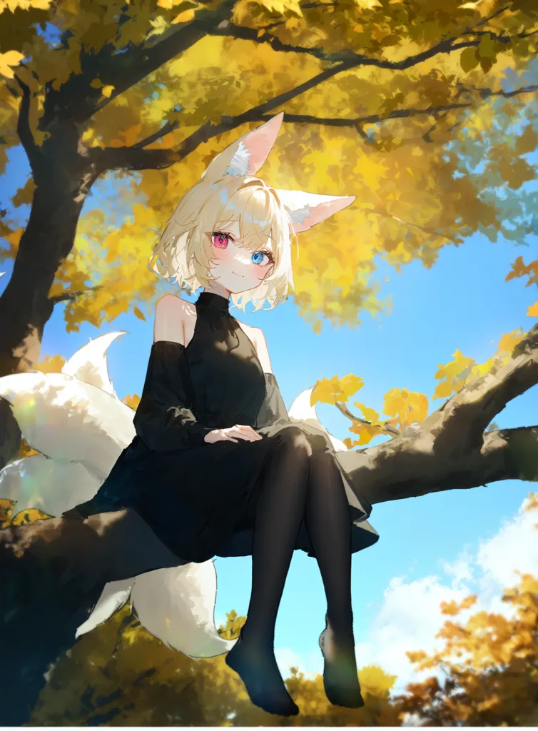 imagesgallery02819webp